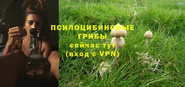 соль курить ск Алексин
