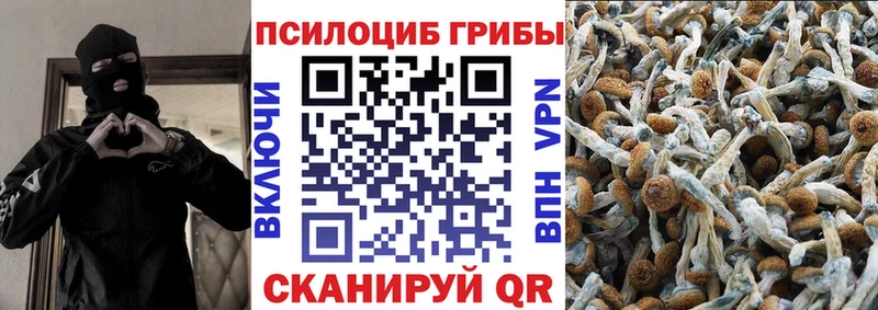 как найти   Абакан  Галлюциногенные грибы ЛСД 